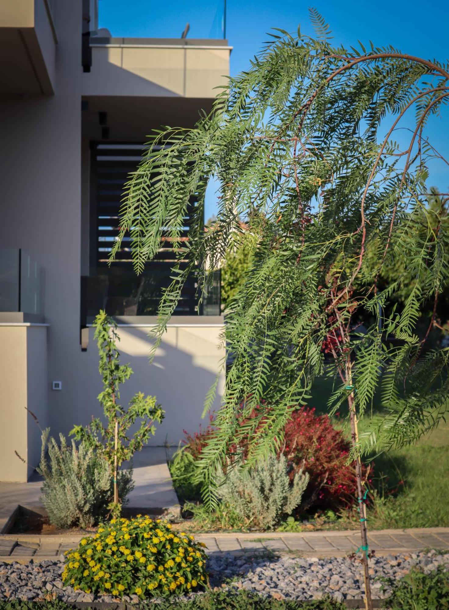 Almyres Luxurious Residences Míloi Exterior foto